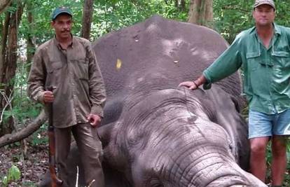 Karma je ku*ka: Upucani slon srušio se na lovca i zdrobio ga
