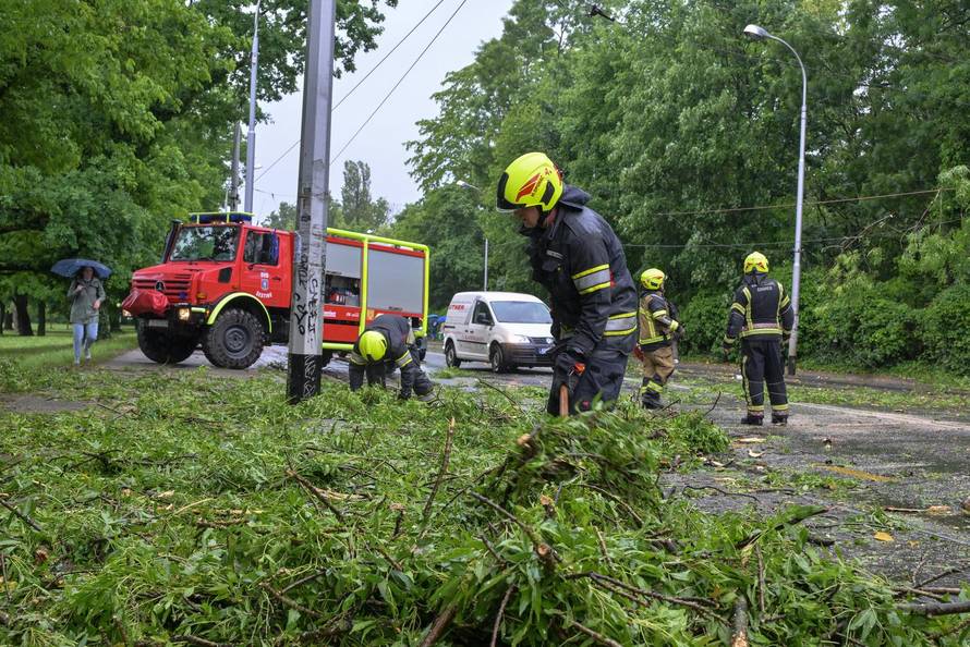 Zagreb: Palo stablo na Maksimirskoj, blokiran promet, vatrogasci na terenu