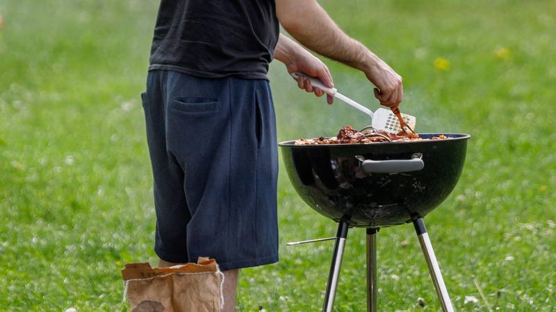 Planirate roštilj za Prvi maj? Evo kakvo nas vrijeme očekuje