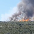 VIDEO Buknuo veći požar u Istri, vatra je zahvatila gustu borovu šumu: Stigla su i dva kanadera