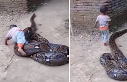 'Srećom je zmija sita': Dječak gnjavi pitona, odrasli se smiju