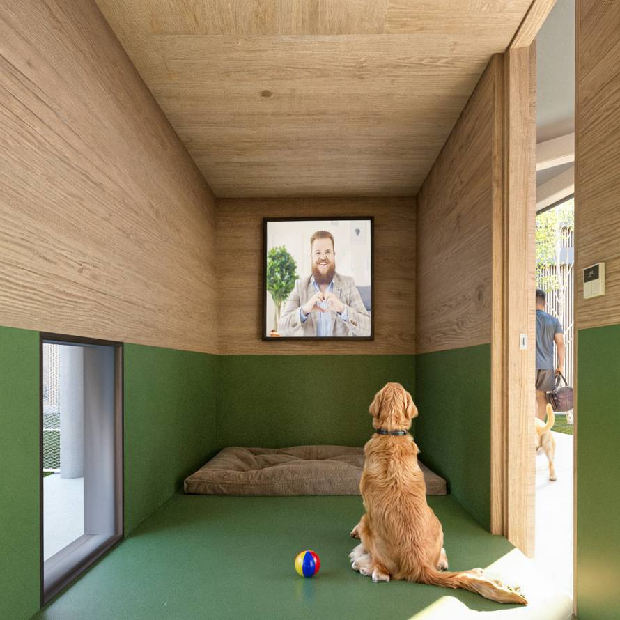 Aerodrom u Rimu otvorio hotel za pse: Kamera, masaže i mirisi za opuštanje, a cijene od 40 €