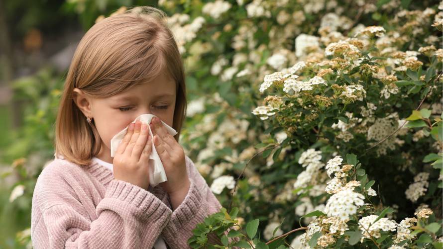 Više od simptoma: Kako razumjeti svoje alergije