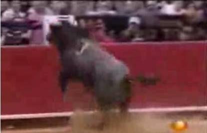 Meksiko: Bik utrčao na tribine i napao gledatelje