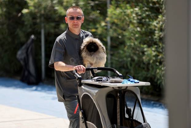 Zaton: Međunarodna izložba pasa pod nazivom CACIB Zadar 2025