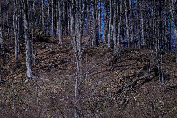 Zagreb: Posljedice olujnog nevremena na Sljemenu