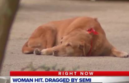 Pas je satima čekao vlasnicu na mjestu gdje je poginula
