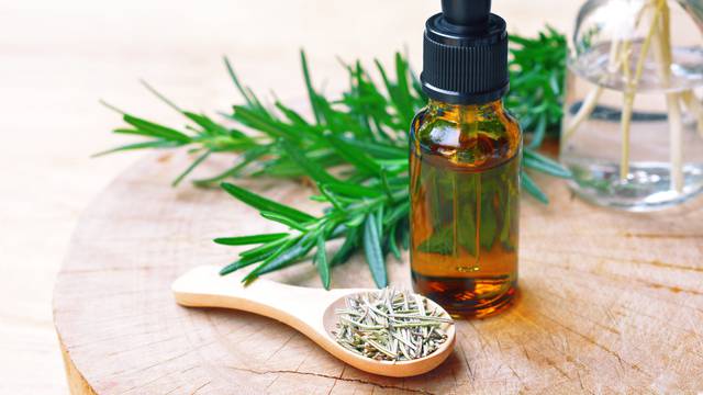 rosemary aromatherapy oil extract