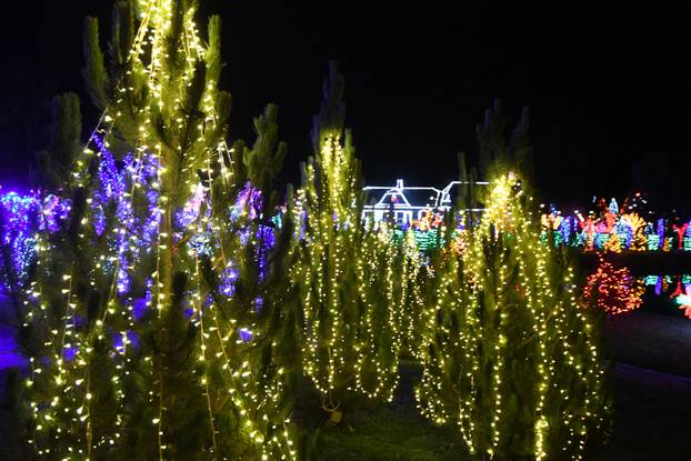 Grabovnica: Započela božićna čarolija svjetla obitelji Salaj