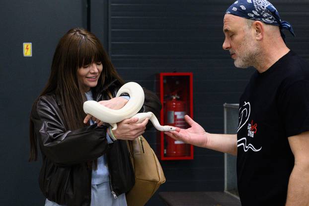 Zagreb: Izložba zmija, papiga, guštera i paukova u Family mallu