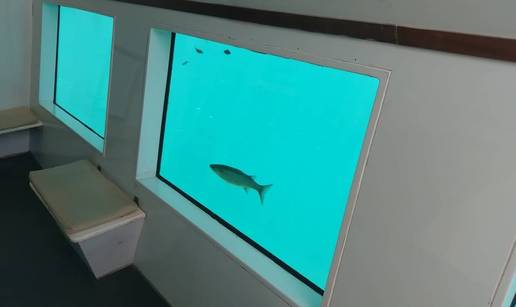 Hrvatica prodaje podmornicu