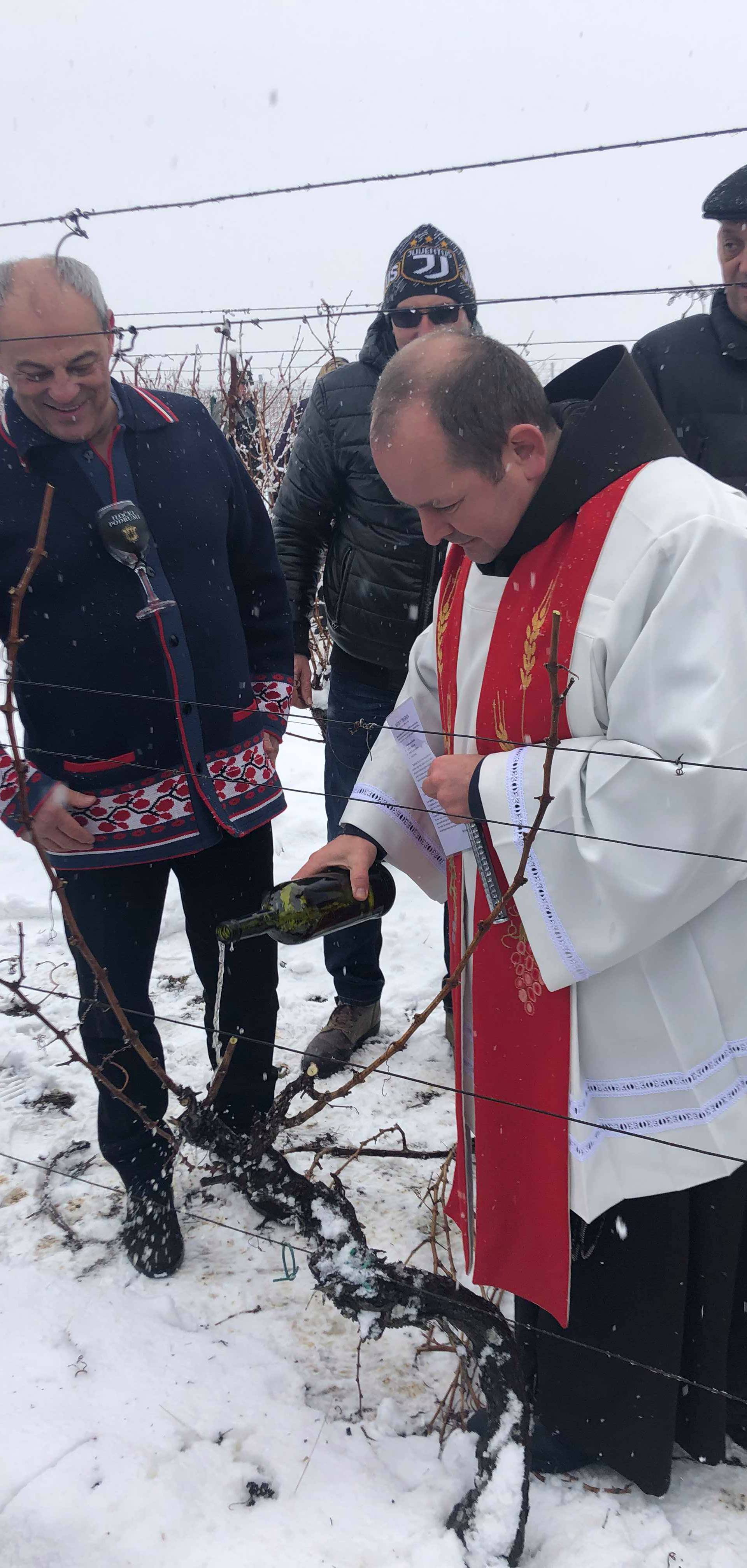 Proslavljeno tradicionalno Vinkovo u Iločkim podrumima