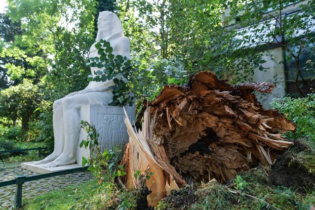 Zagreb: Zoološki vrt pretrpio štetu u nevremenu, bit će zatvoren do daljnjeg