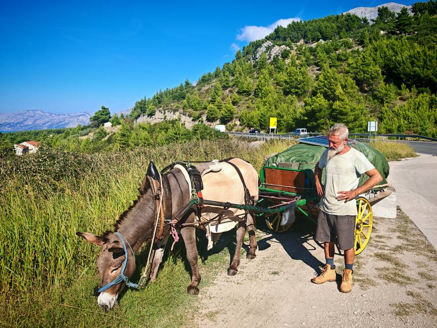 Francuz putuje od Marseillea do Indije - na magarcu!
