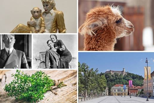 Da vas vidimo znalci! Stigao je novi kviz, koliko točnih odgovora ćete moći skupiti?