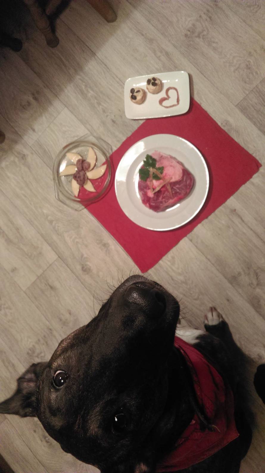 'Sa sirovom hranom mojem mačku nestali su svi problemi'