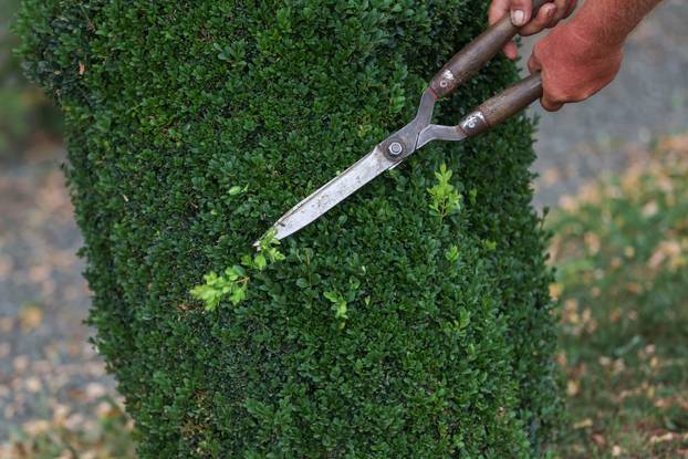 Bajkoviti vrt u srcu Međimurja: Prvi i jedini Topiary park u Hrvatskoj krije se u Sračincu