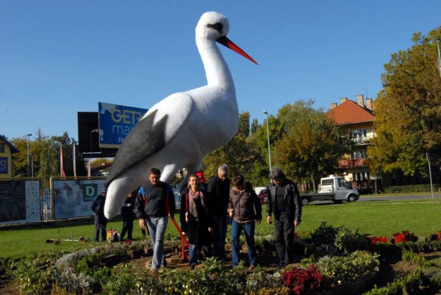 Ivica Galović/PIXSELL