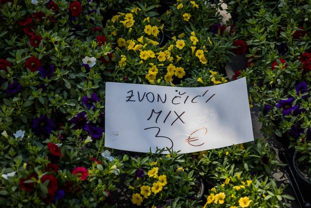 Otvorenje 49. sajma cvijeća u Splitu