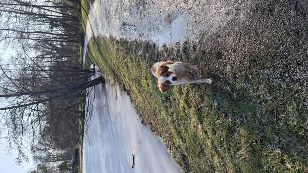 SUPER FOTKE vaših ljubimaca! Neki bi mogli biti viralni hit, ali svi su jednostavno neodoljivi