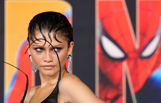 World premiere for the film Spider-Man: Brand New Day in Los Angeles