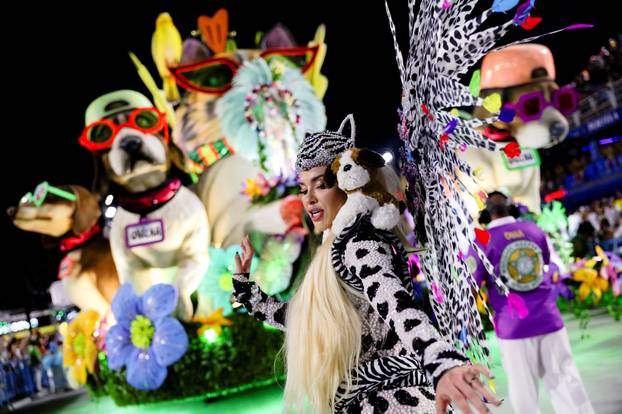 Carnival in Rio de Janeiro