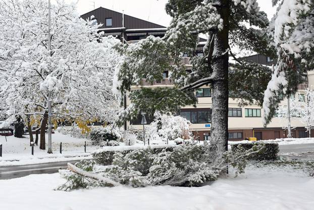 Sisak: Polomljene grane zbog težine snijega