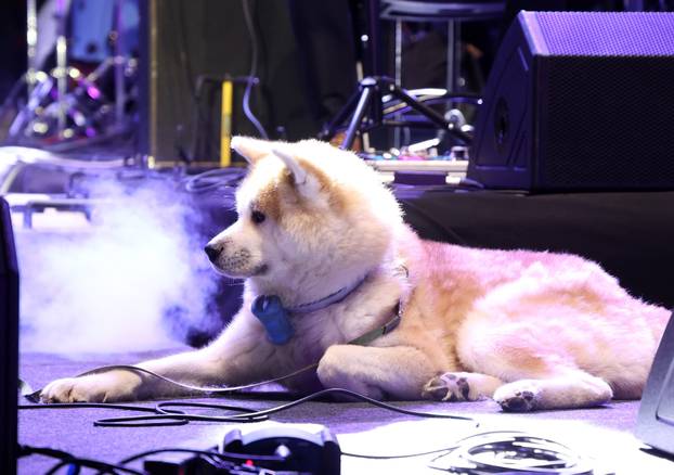 Šibenik: Prva večer Dalmatinske šansone posvećena Vinku Coci