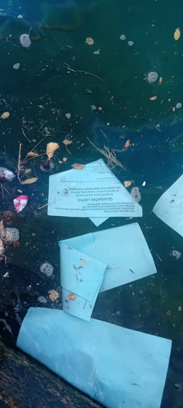 Photos from Brac shocked the public, the leaves ended up in the sea! Nincevic Lesandric: These are your voices