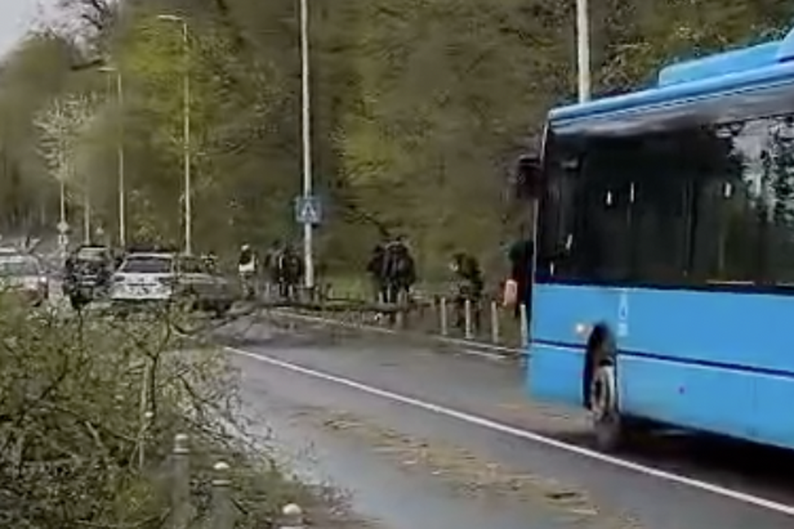 Voza&ccaron; busa i putnici u Maksimiru uklanjali stablo, u Gra&ccaron;anima blokirana pruga