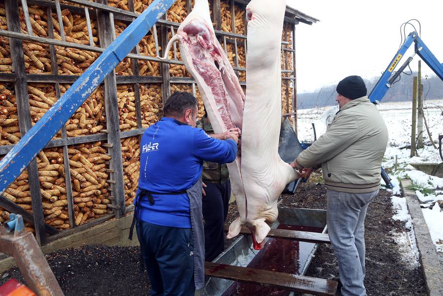 Svinjokolja nekoć bila događaj godine: 'Gadi im se, a jeli bi...'