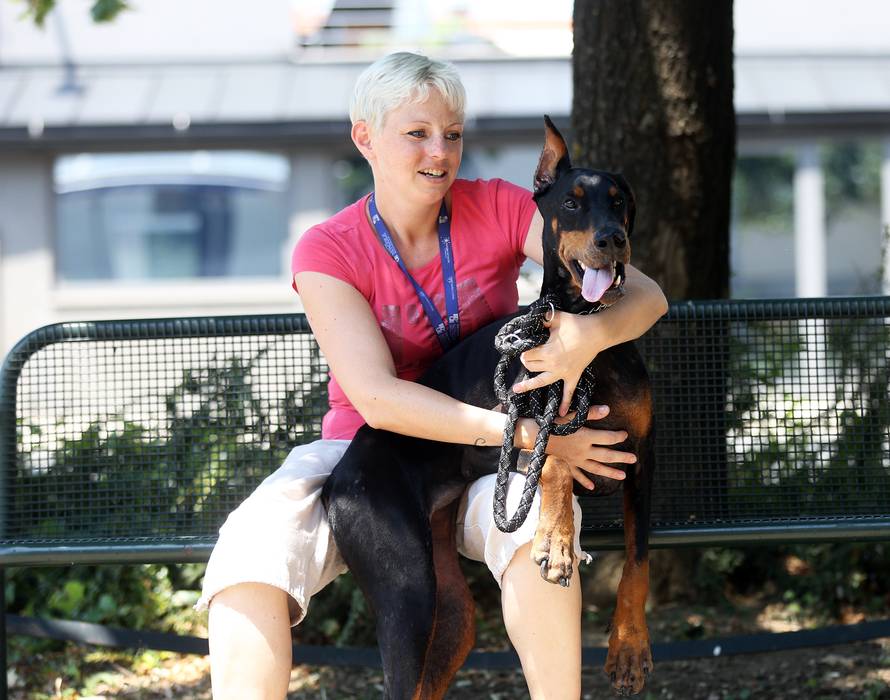 'Arty je bila dvospolac, vlasnik je rekao: Neću oštećenog psa!'