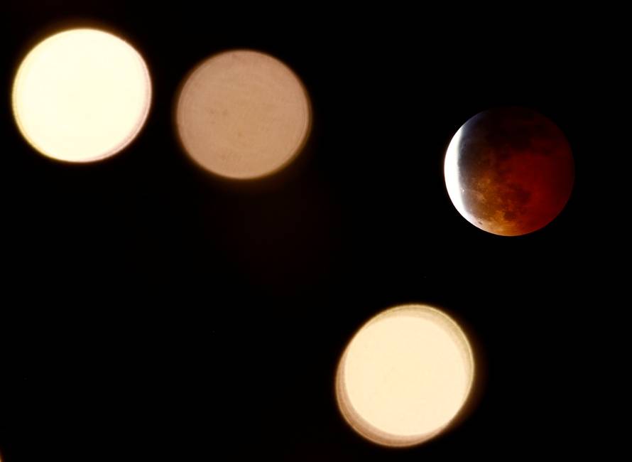 Decorative lights on trees mimic the moon's shape during a lunar eclipse viewed in Seattle