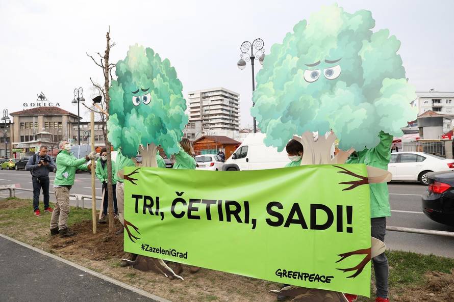 Aktivisti Greenpeace-a u Zagrebu zasadili novi drvored