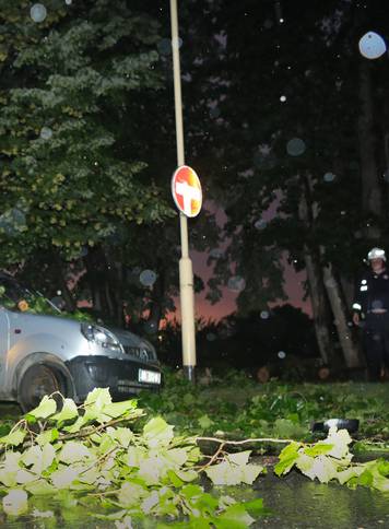 Vjetar u Osijeku srušio grane na cestu, intervenirali vatrogasci