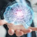 Jeste li i vi takvi? Jednu osobinu imaju mnogi jako inteligentni ljudi, a nema veze s IQ-om