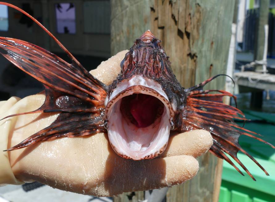 Florida News - May 2, 2016