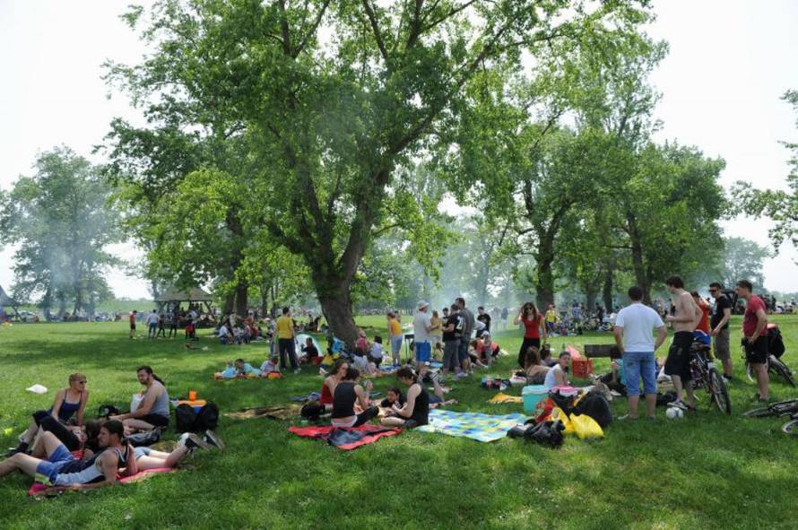 Davor Višnjić/Pixsell