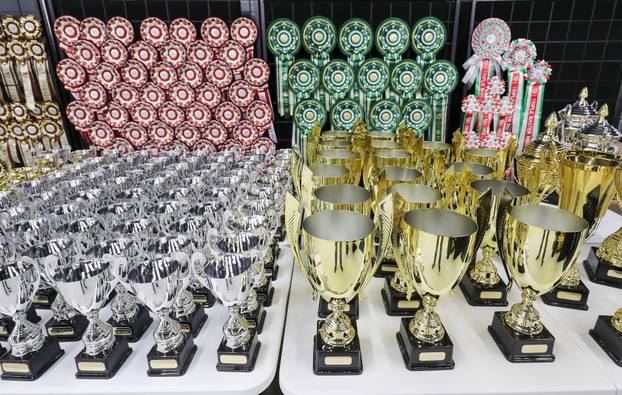 FOTO Otvorena Svjetska izložba mačaka u zagrebačkom Family Mallu! Traje i tijekom nedjelje