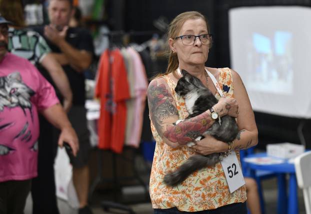 Zagreb: Međunarodna izlozba mačaka privukla brojne posjetitelje u Family Mall