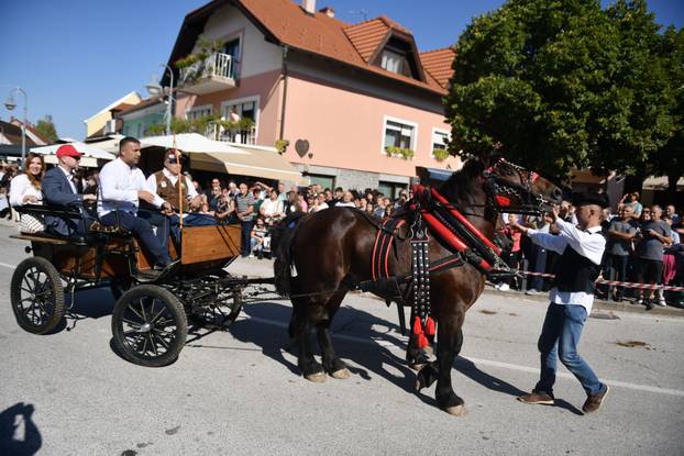 Marija Bistrica: 23. vozočašće konjskih zaprega i jahača