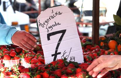 Stigle su prve vrgoračke jagode na šibensku tržnicu: Cijena im je paprena, ali prekrasno mirišu