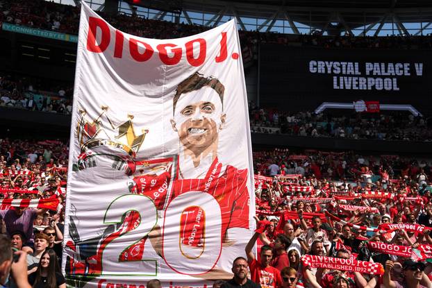 Liverpool v Crystal Palace - FA Community Shield - Wembley Stadium
