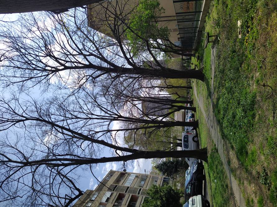 Nokia 7.2 u velikoj gužvi: Lijep izgled i Google jaki su joj aduti