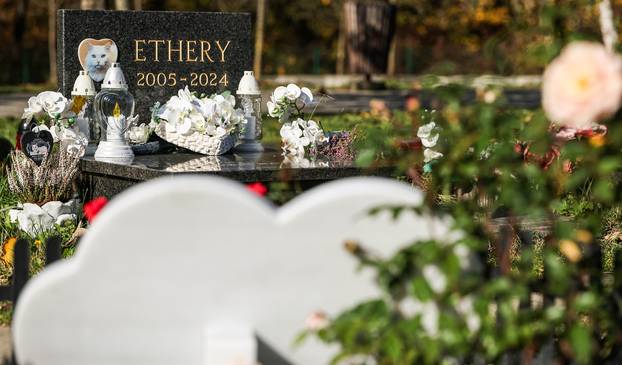 Zagreb: Groblje kućnih ljubimaca u Dumovcu obišao je jedino jedan mačak