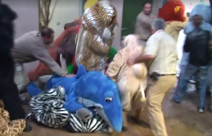 Poletjele i šake: Remi Gaillard je 'zakuhao' kaos u zoološkom