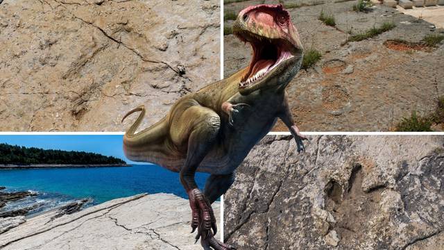Živjeli su prije 150 mil. godina i ostavili svoje otiske po Istri: 'I pod morem smo im našli kosti'
