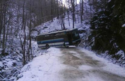 Autobus vozio izletnike na planinu, pa skliznuo s ceste