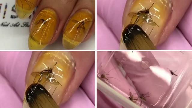 Fosilna manikura s mrtvim komarcima na noktima