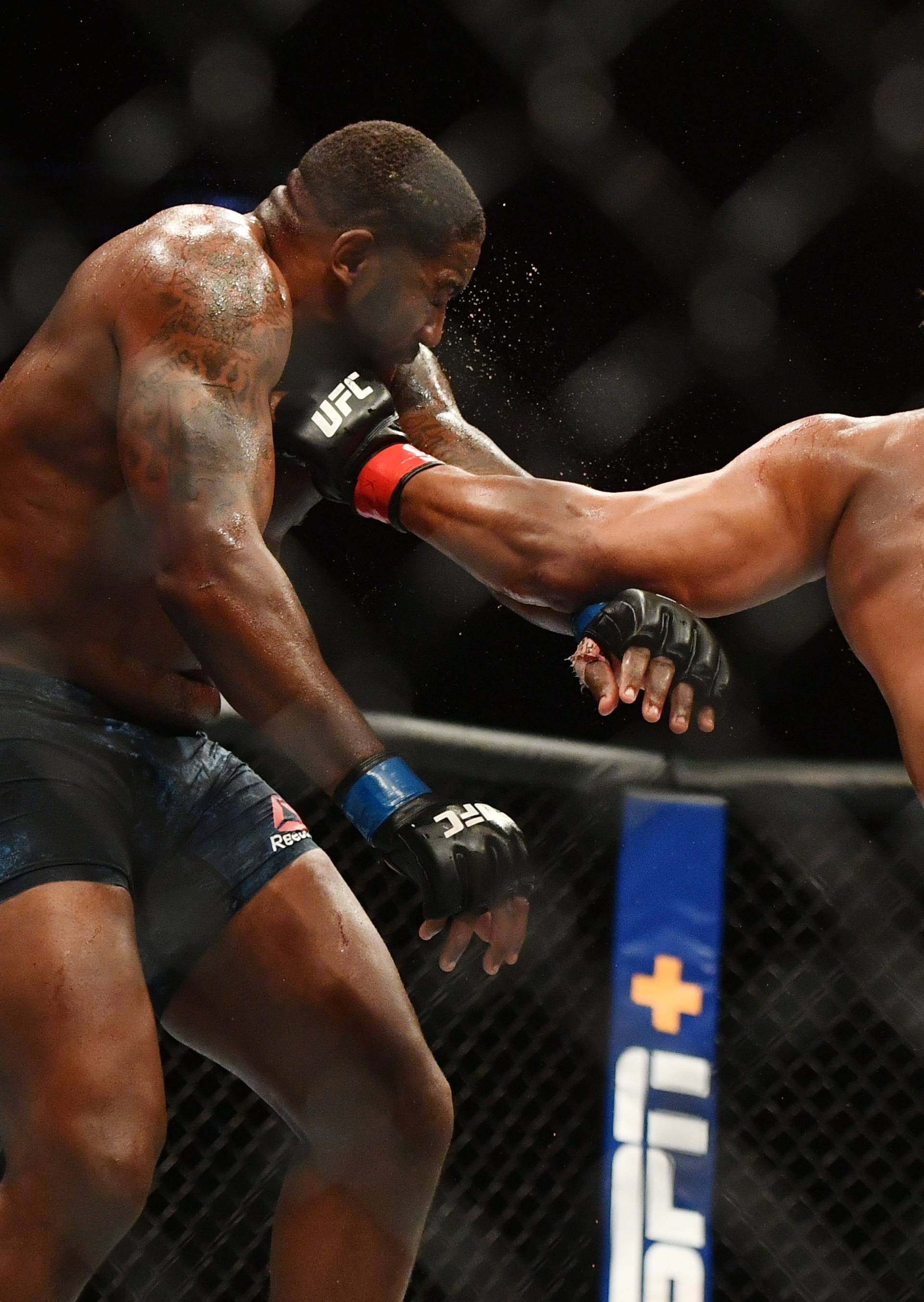 MMA: UFC Fight Night-Overeem vs Harris